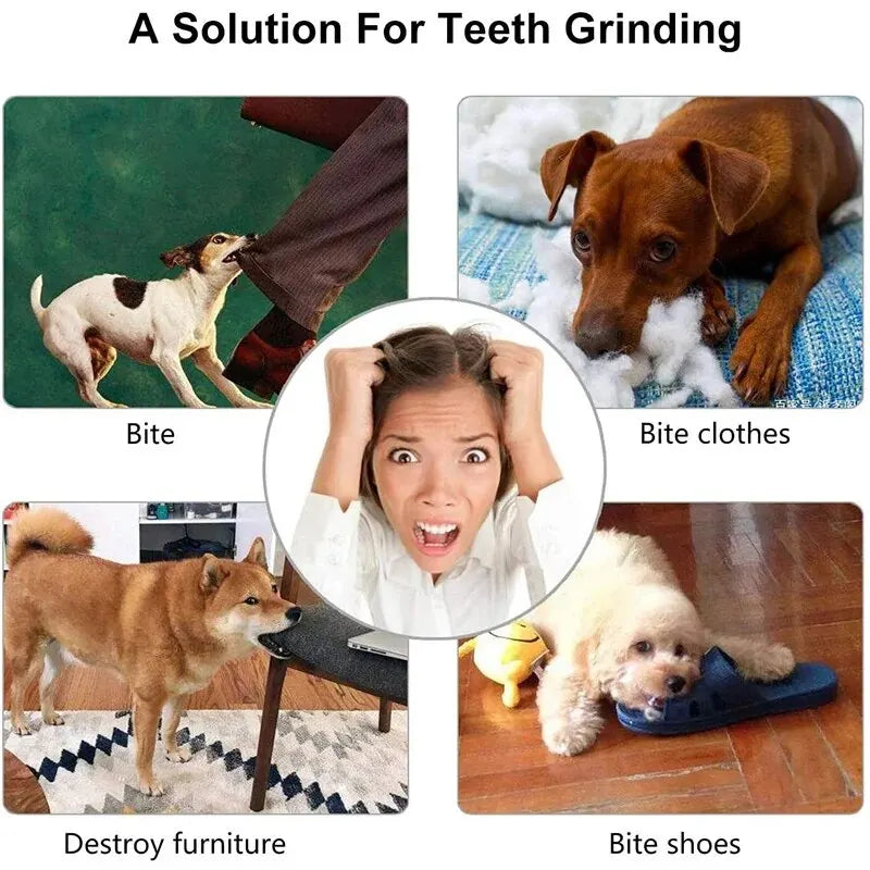 Dog Treat Feeder Chew Ball — Non-Toxic Bite-Resistant Teeth Cleaning Toy for Dogs & Cats