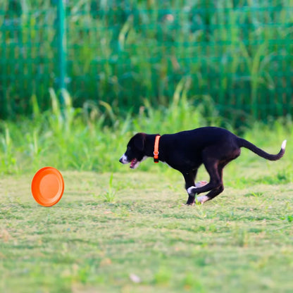 Durable Dog Flying Disc — Lightweight Training Toy for Puppies & Adult Dogs