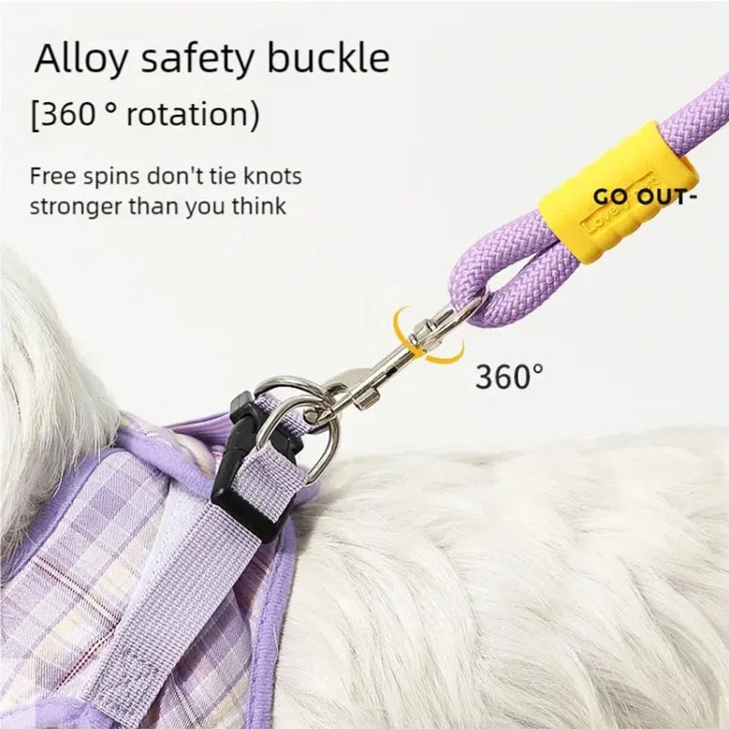 Colorful Dopamine Dog Walking Leash — Outdoor Contrasting Color Pet Leash