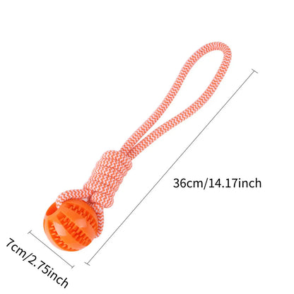 Cotton Rope Treat Ball Dog Toy — Bite-Resistant Teeth Cleaning & Interactive Training Toy