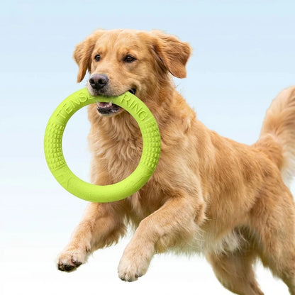 Floating Dog Flying Disc — Water-Resistant Interactive Training Ring Toy for Small & Medium Dogs