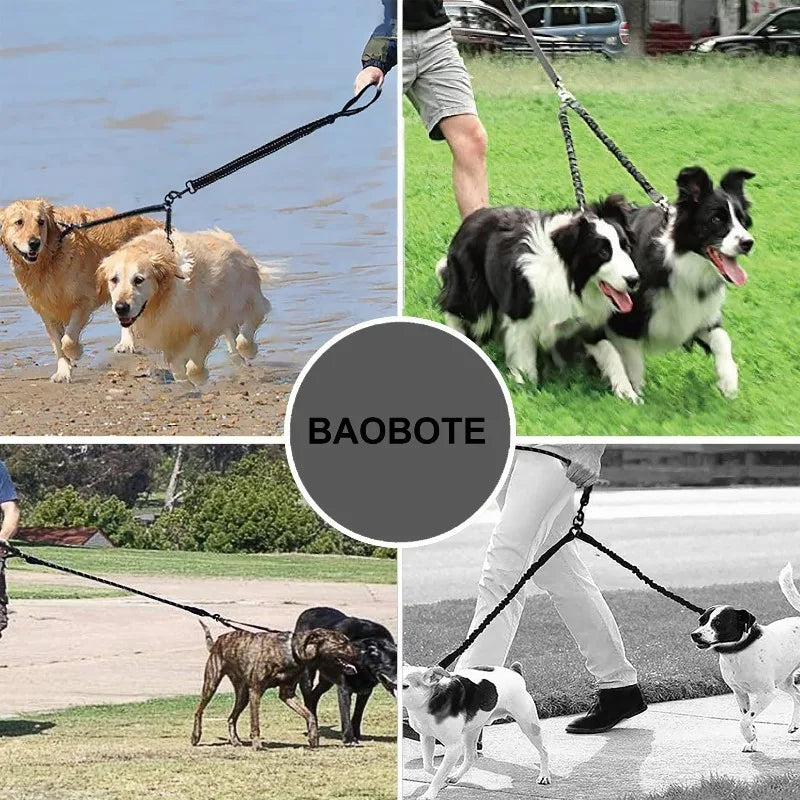 Double-Headed Shock-Absorbing Dog Leash — Elastic Anti-Pull Walking Rope for Dogs