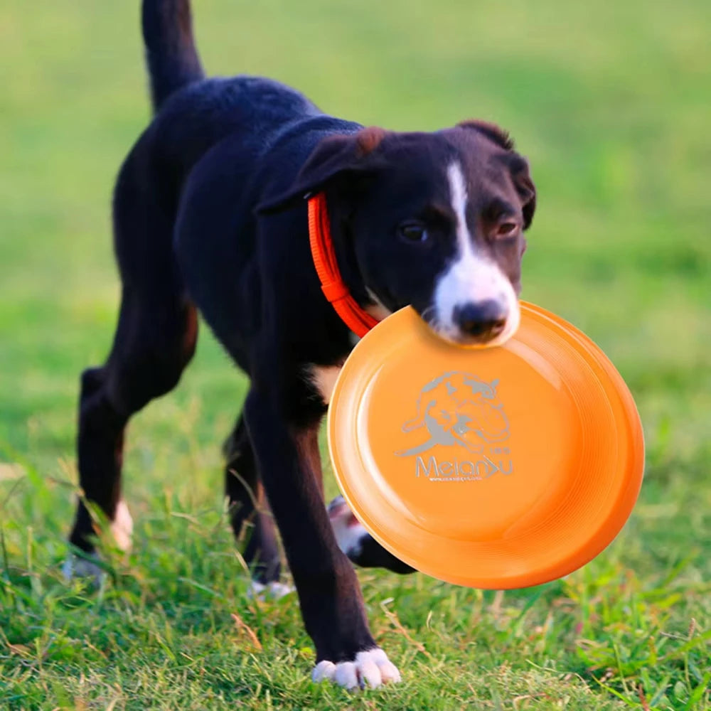 Durable Dog Flying Disc — Lightweight Training Toy for Puppies & Adult Dogs