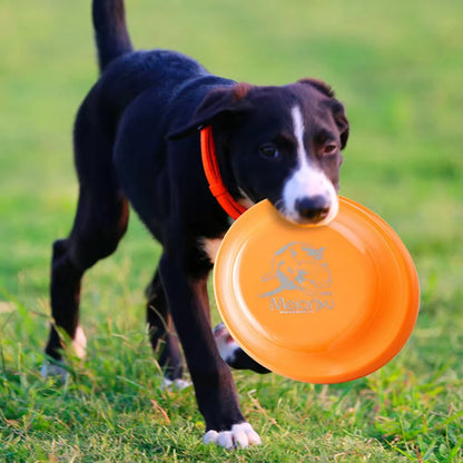 Durable Dog Flying Disc — Lightweight Training Toy for Puppies & Adult Dogs