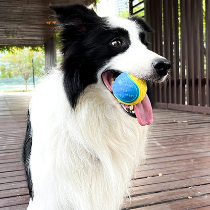 Squeaky Dog Ball Toy — Soft TPR Bite-Resistant Teeth Cleaning Toy for Dogs