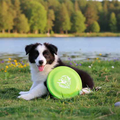 Durable Dog Flying Disc — Lightweight Training Toy for Puppies & Adult Dogs