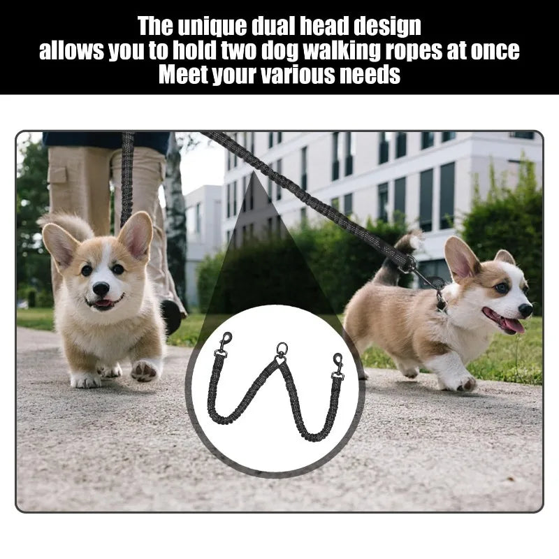 Double-Headed Shock-Absorbing Dog Leash — Elastic Anti-Pull Walking Rope for Dogs