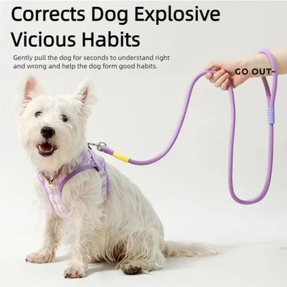 Colorful Dopamine Dog Walking Leash — Outdoor Contrasting Color Pet Leash