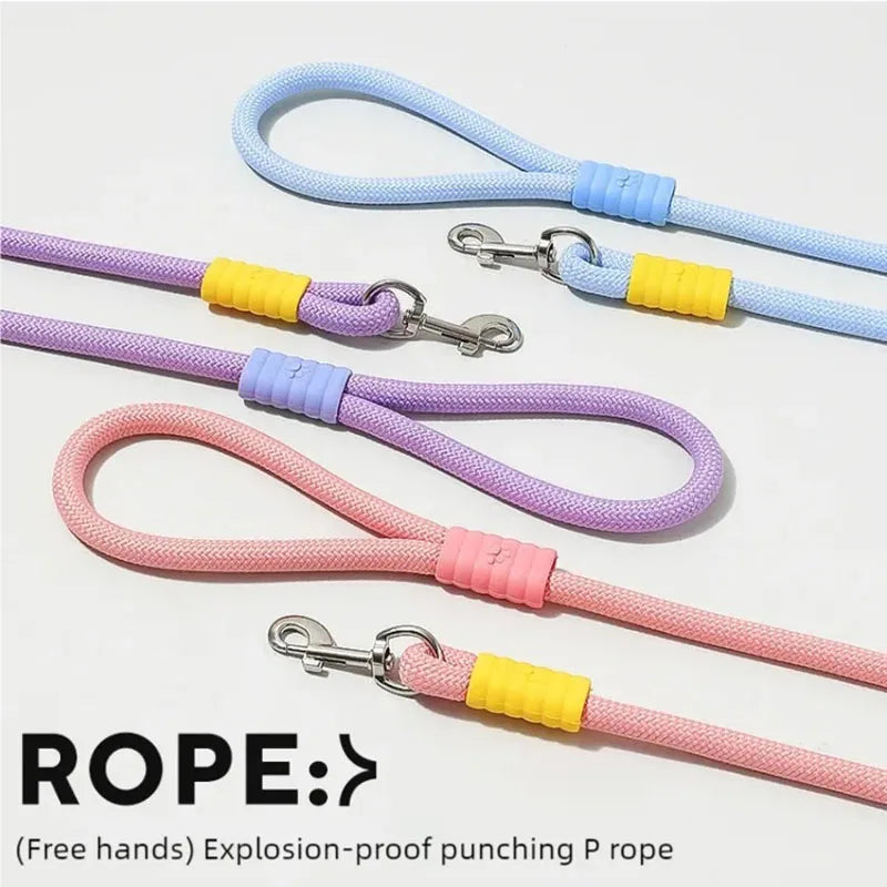 Colorful Dopamine Dog Walking Leash — Outdoor Contrasting Color Pet Leash