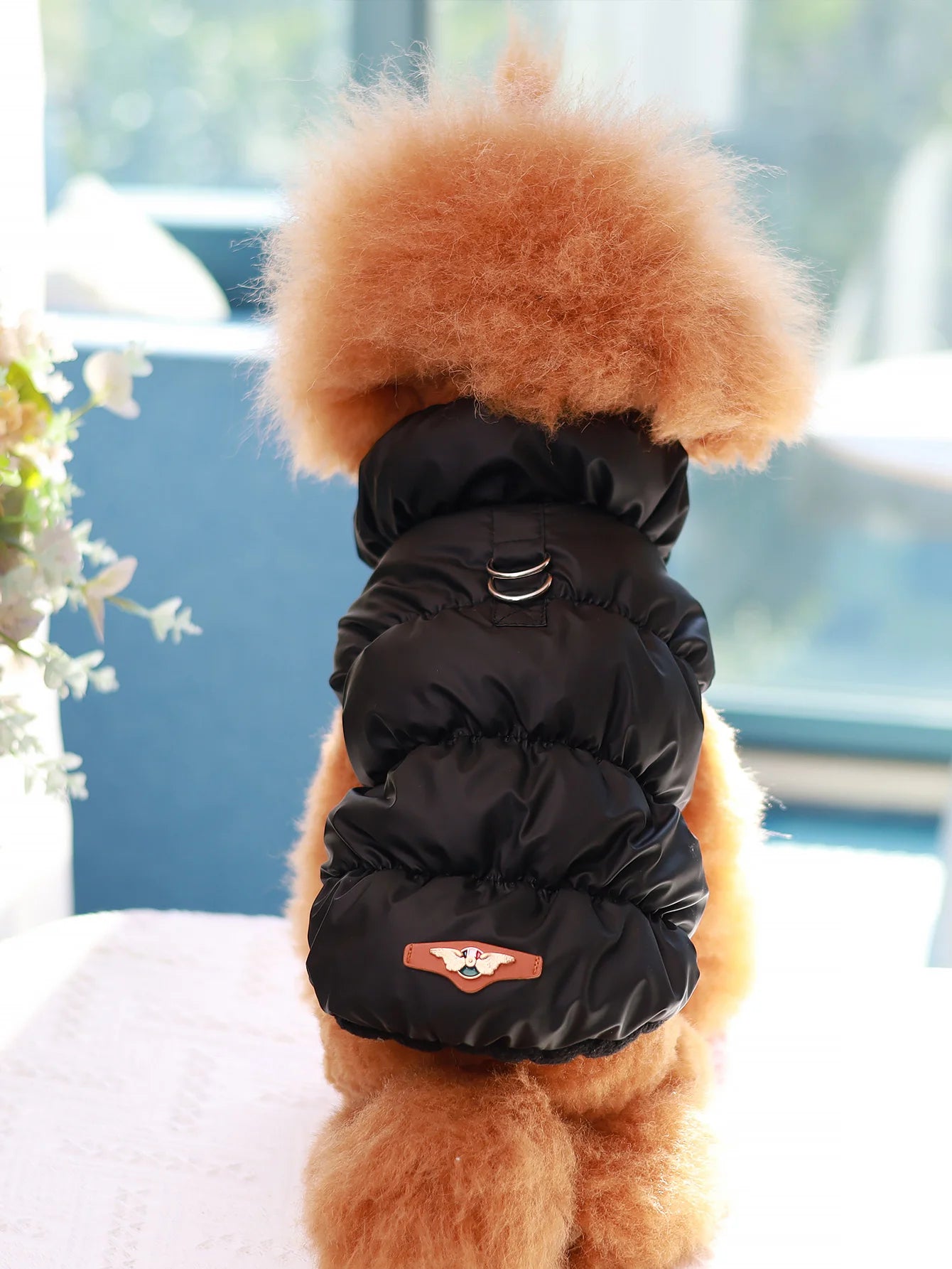 Dog Winter Jacket — 3-Layer Thick Warm Coat for Small to Medium Dogs