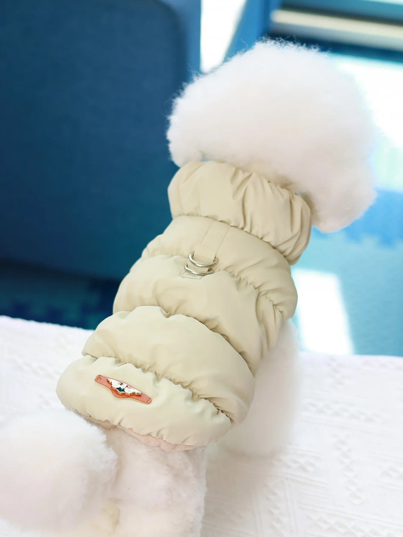 Dog Winter Jacket — 3-Layer Thick Warm Coat for Small to Medium Dogs