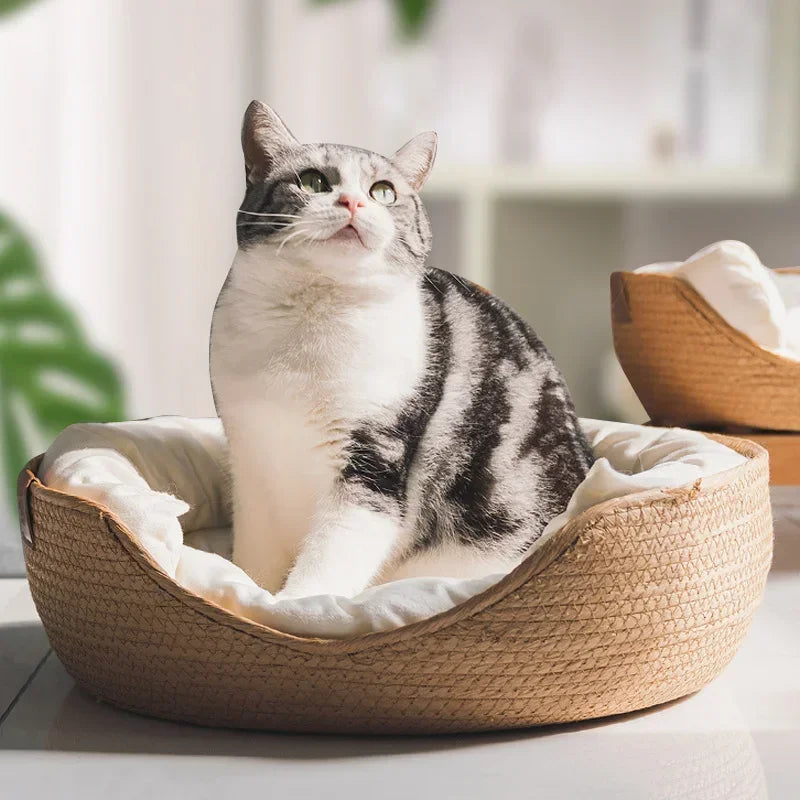 Bamboo Weave Pet Bed — Waterproof Sofa-Style Dog & Cat Bed with Removable Cushion