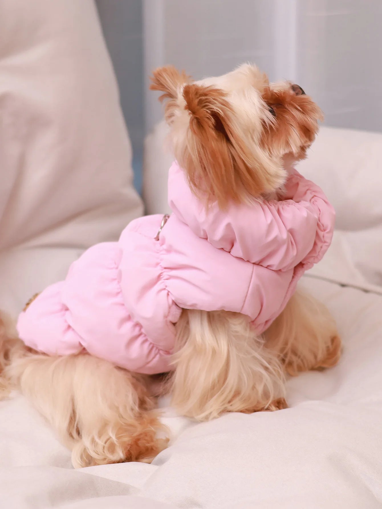 Dog Winter Jacket — 3-Layer Thick Warm Coat for Small to Medium Dogs